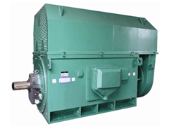 西吉Y系列6KV高压电机